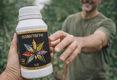 plantagra_8
